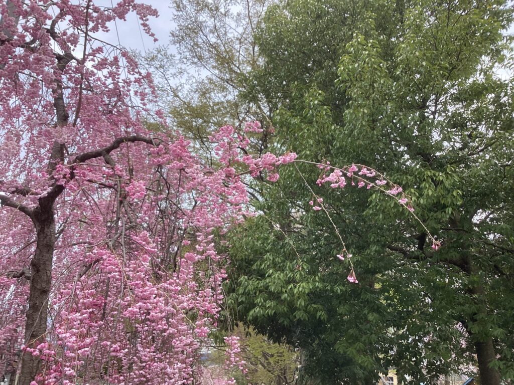 郡山　心理カウンセリング　こころの相談室「道」