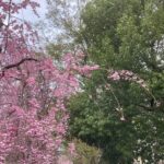 郡山　心理カウンセリング　こころの相談室「道」