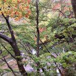 郡山　心理カウンセリング　こころの相談室　道